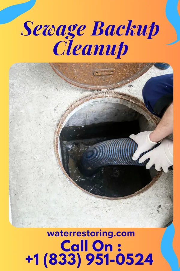 Sewage Backup Cleanup in Blue Mountain, AR
